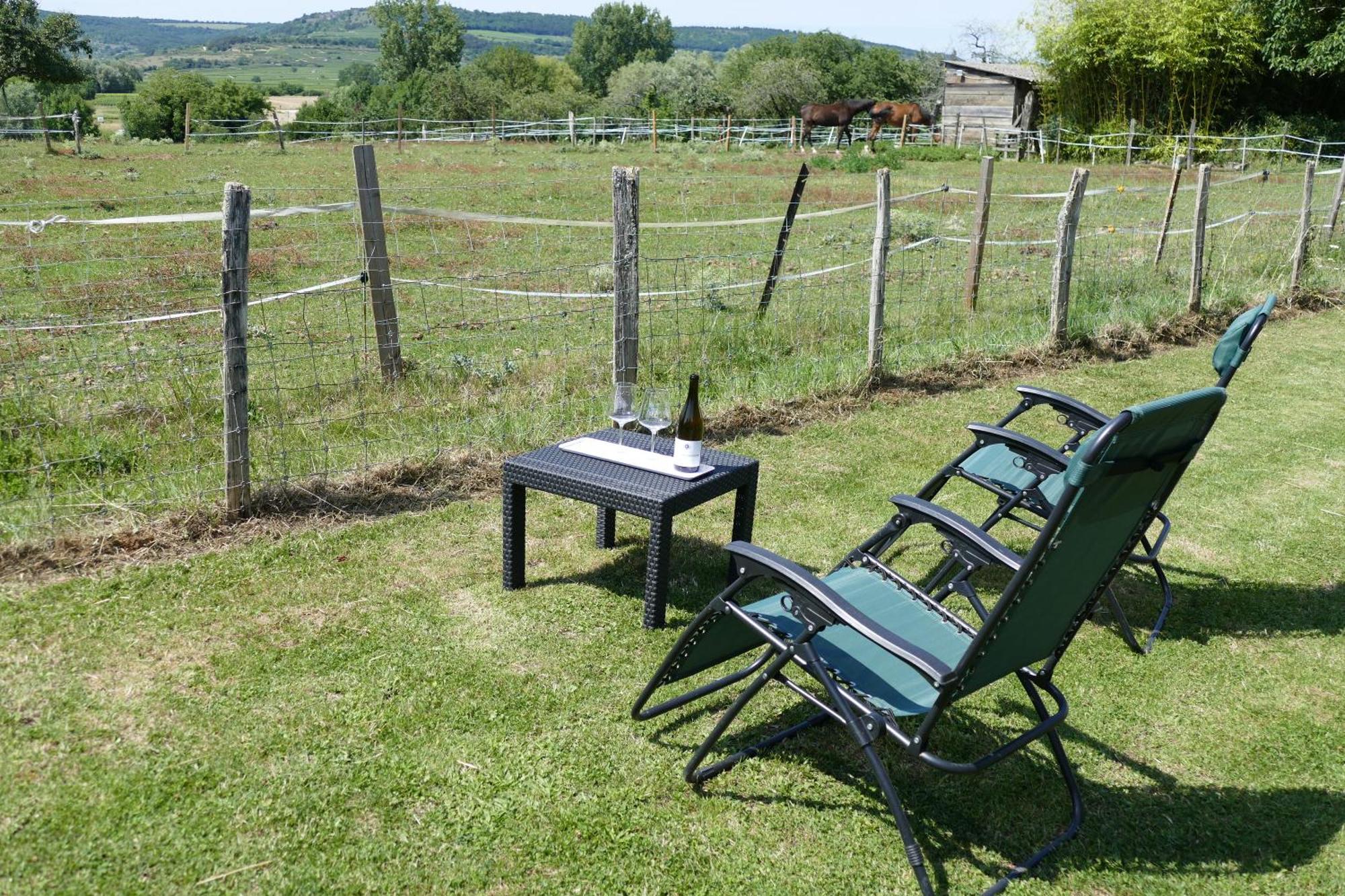 Les Grands Crus - Meursault Villa Corpeau Exterior foto